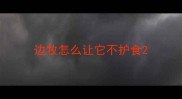 边牧怎么让它不护食