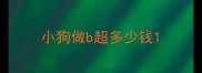 小狗做b超多少钱