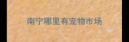 南宁哪里有宠物市场