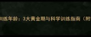 金毛犬最佳训练年龄3大黄金期与科学训练指南附训练方法