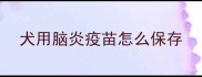 犬用脑炎疫苗怎么保存