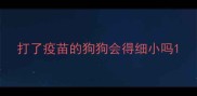 打了疫苗的狗狗会得细小吗