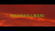 陨石边牧的怎么看品相