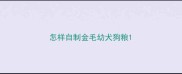 怎样自制金毛幼犬狗粮