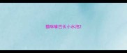 猫咪嘴巴长小水泡