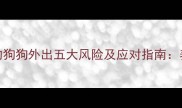 未接种疫苗的狗狗外出五大风险及应对指南养宠家庭必读
