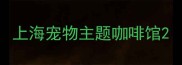 上海宠物主题咖啡馆