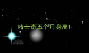 哈士奇五个月身高