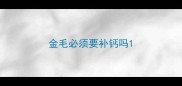 金毛必须要补钙吗
