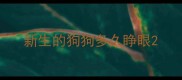 新生的狗狗多久睁眼