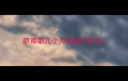 萨摩耶几个月后就不闹了