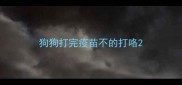 狗狗打完疫苗不的打咯