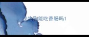 宠物狗能吃香肠吗