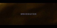 宠物犬防疫站打疫苗