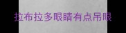 拉布拉多眼睛有点吊眼