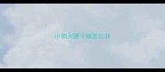 小狗大便干燥怎么办