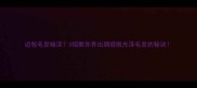边牧毛发暗淡3招教你养出绸缎般光泽毛发的秘诀