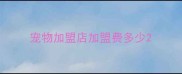 宠物加盟店加盟费多少