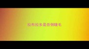 拉布拉多是否倒睫毛