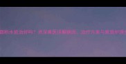 狗狗腹部积水能治好吗资深兽医详解病因治疗方案与家庭护理全攻略