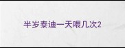 半岁泰迪一天喂几次