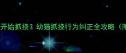 小猫几个月大开始抓挠幼猫抓挠行为纠正全攻略附训练技巧