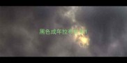 黑色成年拉布拉多