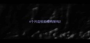 4个月边牧能喂鸭架吗