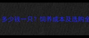 杭州拉布拉多价格表多少钱一只饲养成本及选购全攻略附品种特性