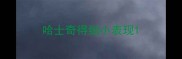 哈士奇得细小表现