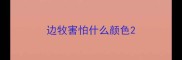 边牧害怕什么颜色