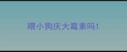喂小狗庆大霉素吗