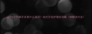 边牧6个月掉牙多是什么原因幼犬牙齿护理全攻略附解决方法