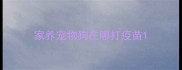 家养宠物狗在哪打疫苗