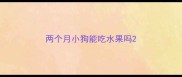 两个月小狗能吃水果吗