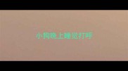 小狗晚上睡觉打呼