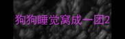 狗狗睡觉窝成一团
