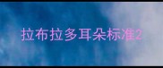 拉布拉多耳朵标准