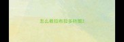 怎么教拉布拉多转圈