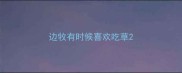 边牧有时候喜欢吃草