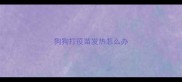 狗狗打疫苗发热怎么办