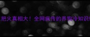 认证哈士奇三把火真相大全网疯传的养狗冷知识99人不知道