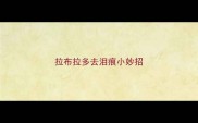拉布拉多去泪痕小妙招