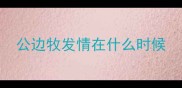 公边牧发情在什么时候