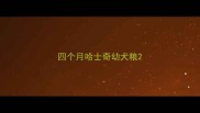 四个月哈士奇幼犬粮