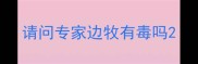 请问专家边牧有毒吗