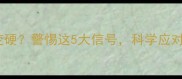 泰迪怀孕肚子变硬警惕这5大信号科学应对孕期护理指南