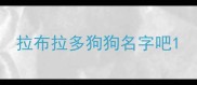 拉布拉多狗狗名字吧