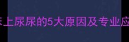 狗狗在床上尿尿的5大原因及专业应对策略