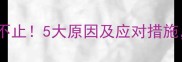 狗狗突然发抖不止5大原因及应对措施主人必看